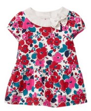 Nwt Gymboree Precious Prep Apple Flower Baby Girls Dress 3-6 M