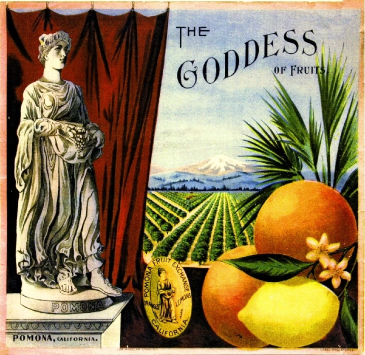Pomona The Goddess of Fruit Orange Citrus Fruit Crate Label Art Print