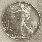 1992 American Silver Eagle 1 oz .999 Silver Uncirculated Light Toning Beautiful