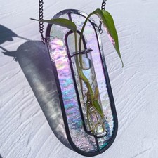 Iridescent Stained Glass Plant Propagation Station with 2 Tubes - Hydroponic