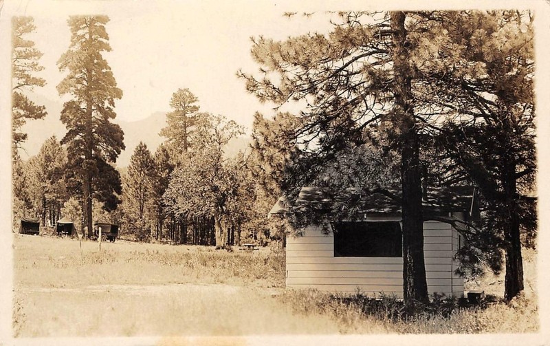RPPC Mt. Spring Ranch Auto Camp, Williams, Arizona 1924 Route 66 Photo Postcard