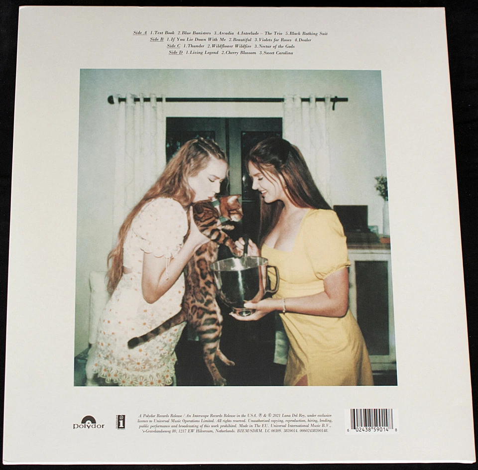 Rock-Pop, Indie-Pop - Lana Del Rey – Blue Banisters - EU-US 2021 - 2 LPs Mint - Bild 2 von 4