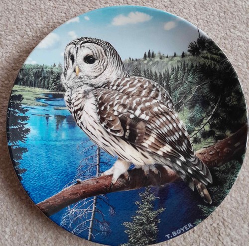Elige UNO O MÁS Platos LA MAJESTUOSIDAD DE LOS BÚHOS Plato Wedgwood Trevor Boyer P1 - Imagen 3 de 12