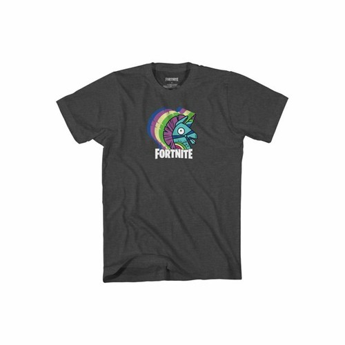 Fortnite Boys Short Sleeve T-Shirt, Size L 10/12 (LOC TUB G-14) Color Grey - 第 1/2 張圖片