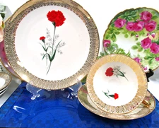 Bavaria Germany tea cup and saucer trio carnation  & gold  teacup German 1950s