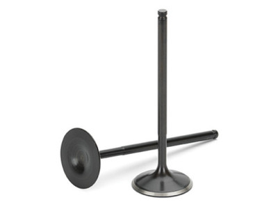 Supertech For VW 2.0L TFSI 16V Intake Valve Set Of 10 With Black Nitrided Finish