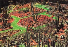 SPAIN WHITE TROPICAL BOTANICAL GARDEN PINYA DE ROSA