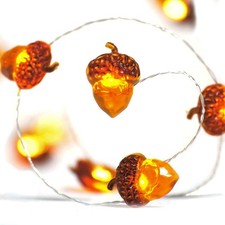 Thanksgiving Decorations Acorn Lights String 10Ft 40 Leds with Remote Fairy Fa