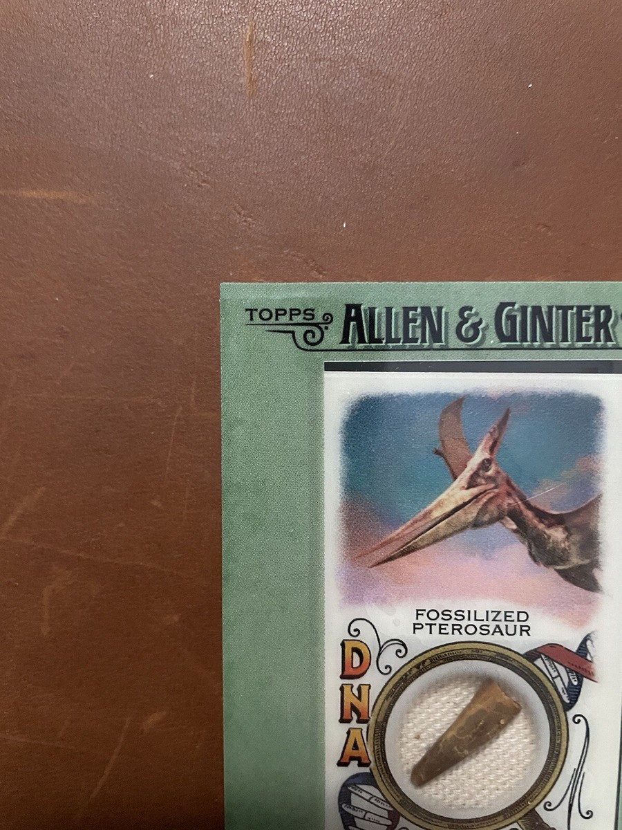 2021 Allen & Ginter Pterosaur Relic DNA !! 3/10 | eBay 2021 Allen & Ginter Pterosaur Relic DNA !! 3/10 | eBay