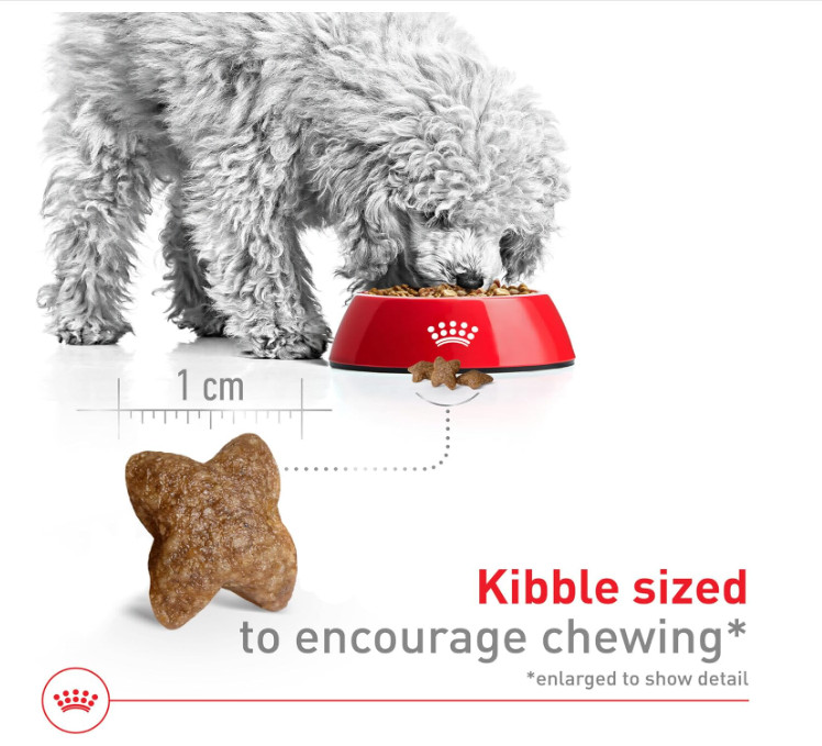 Royal Canin Size Health Nutrition Small Adult Dry Dog Food, 30-lb