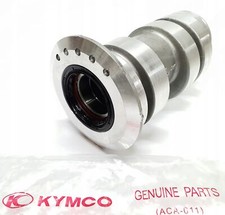 Supporto cuscinetto asse posteriore Rear HUB KYMCO KXR 250 MXU 250 Maxxer Mongoose 250 300 