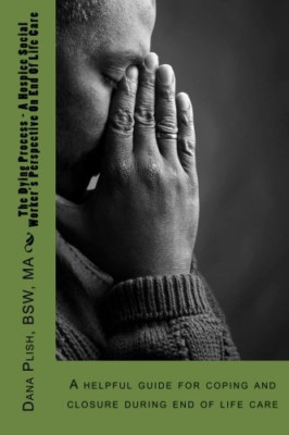 The Dying Process - A Hospice Social Worker's Perspecti - Paperback NEW Plish, M