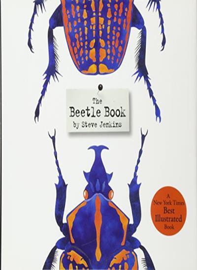 The Beetle Book, Hardback, Steve Jenkins - Image 4