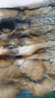 Cross fox pelt with paws and claws , fox pelt, fox pelts, fox fur