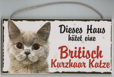 Haustier Schild Dieses Haus Hütet Eine Britisch Kurzhaar Katze Ebay