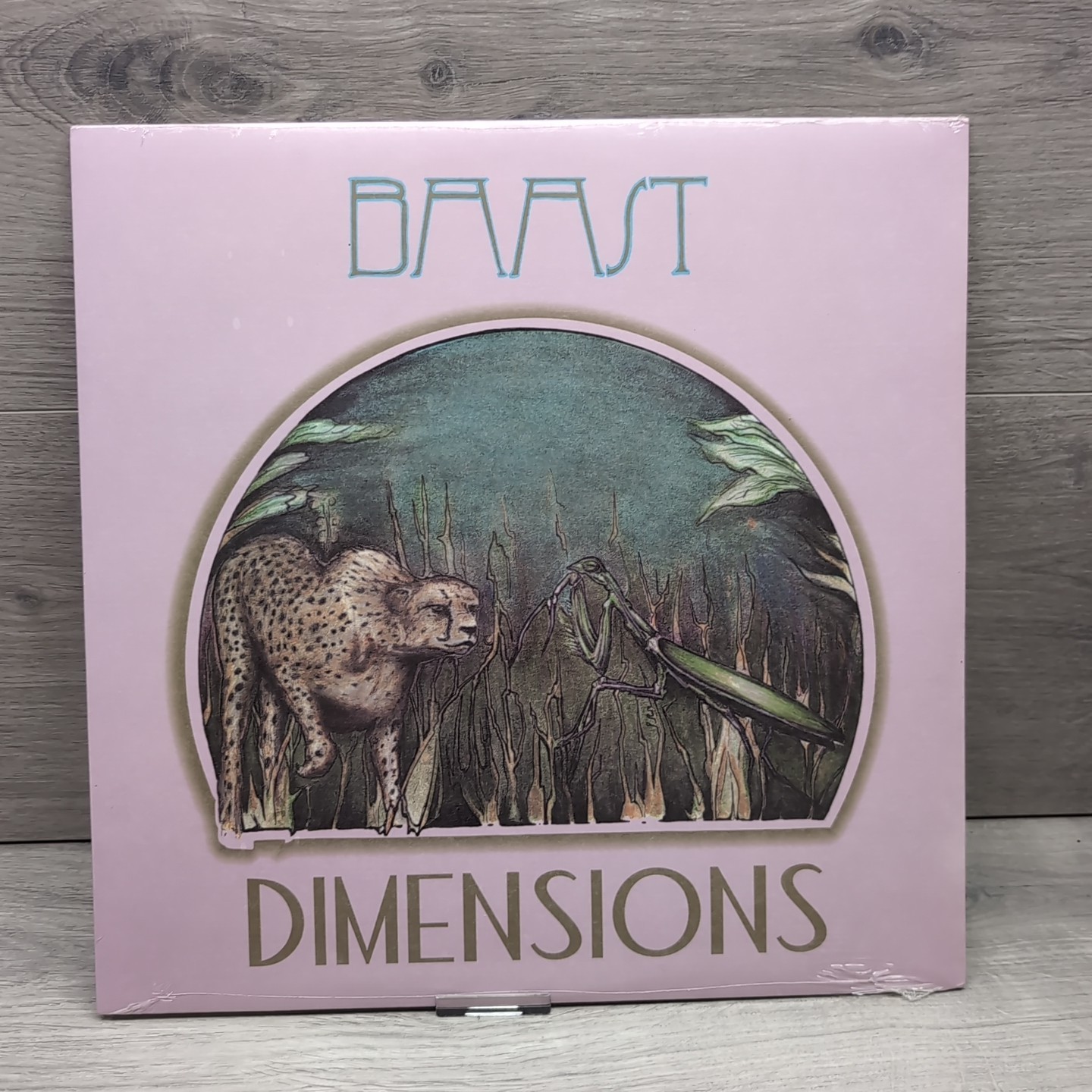 Baast - Dimensions 12"" Vinyl LP Record - 2014 Ubiquity Recordings - Brand New
