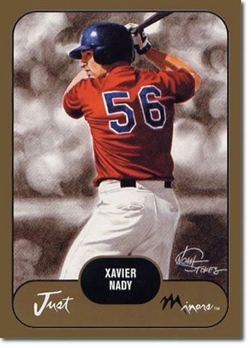 50-Count Lot 2002 Xavier Nady Rookies Mint RCs - Foto 1 di 1