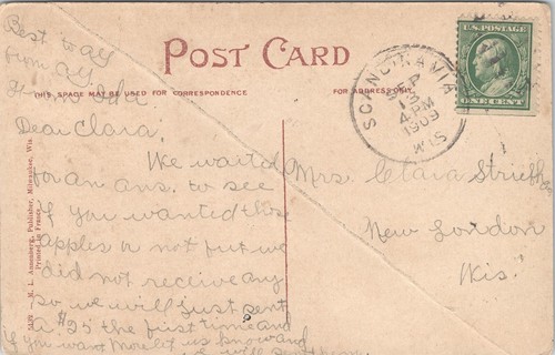 Greetings from Scandinavia Wis - Flowers & Main Street Views 1909 - Picture 2 of 2