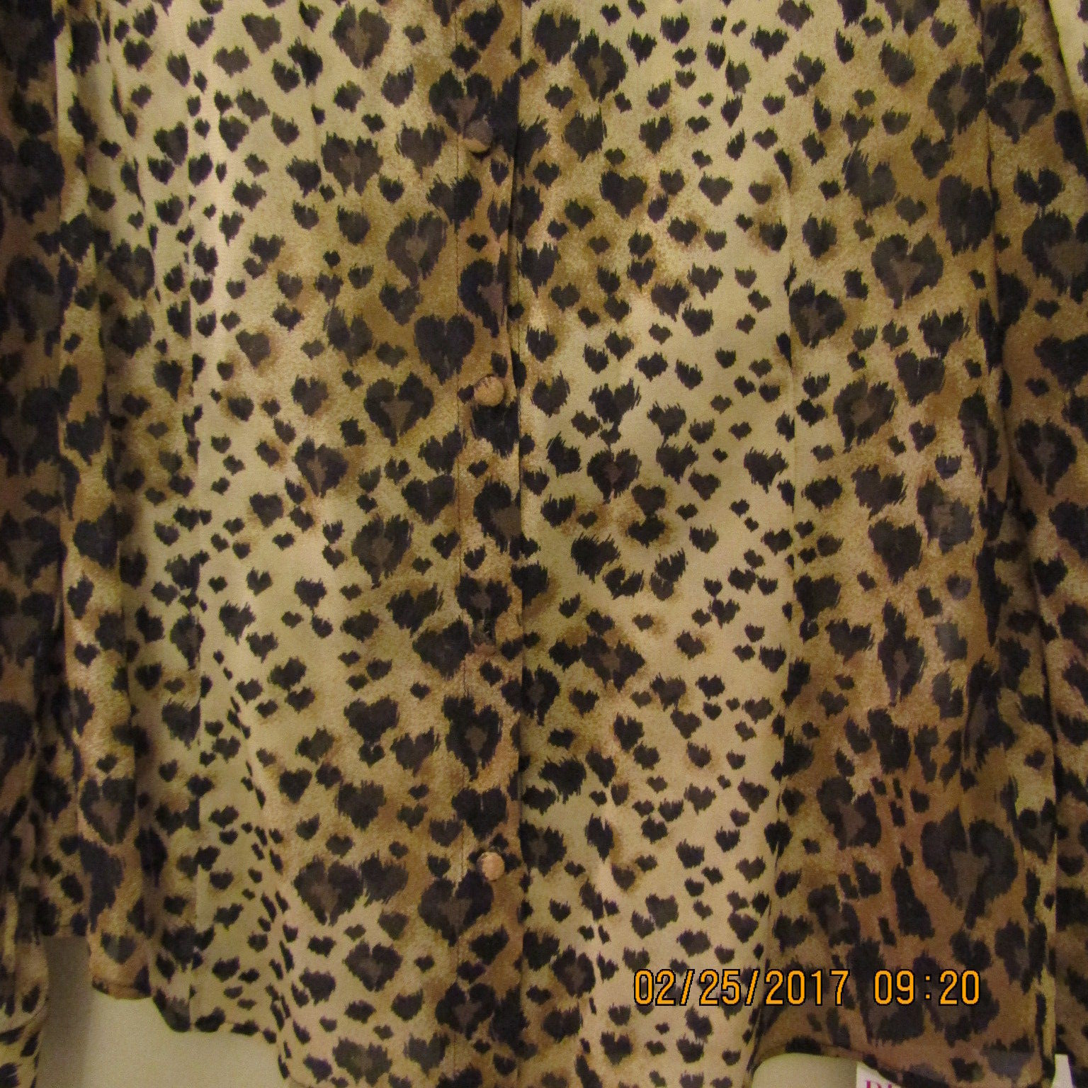 Picture 5 of 10