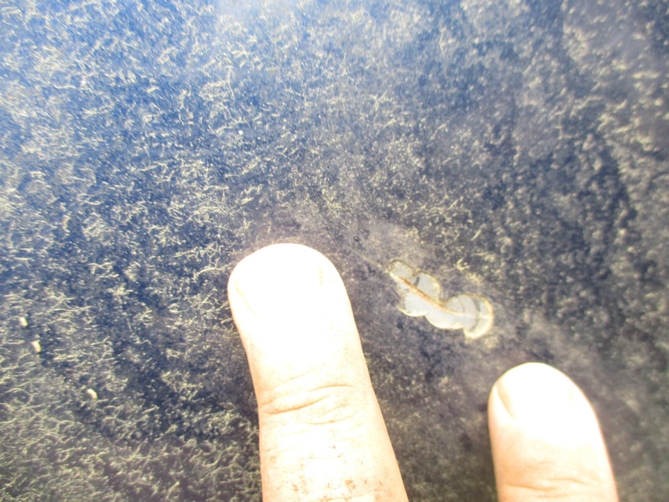 2002 2003 2004 2005 2006 2007 2008 2009 CHEVROLET TRAILBLAZER HOOD OEM - Image 3 of 4