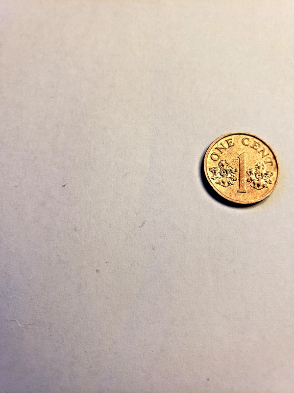 ONE CENT COINS: 1995 Singapore / Singapura Twenty / 1 Cents Coin UNC