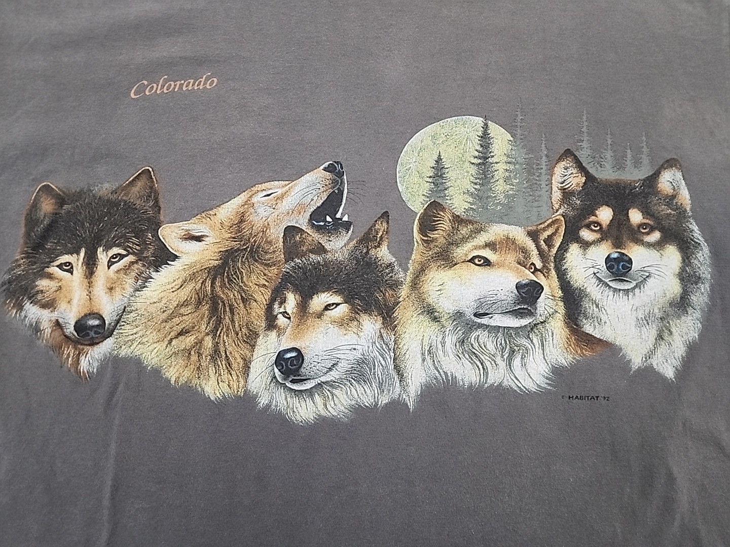 Picture 2 of 10