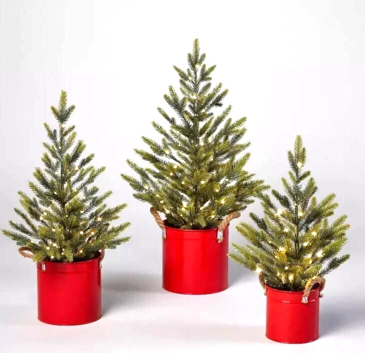 Mini Potted Christmas Trees