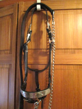 circle y Silver Alpaca Mexico horse Show Halter  lead dark oil leather Y619H