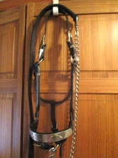 circle y  Silver Alpaca Mexico horse  Show Halter & lead dark oil leather  Y619H