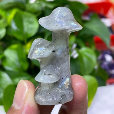 2  Natural labradorite Quartz mushroom cluster hand Carved Crystal healing 1PC