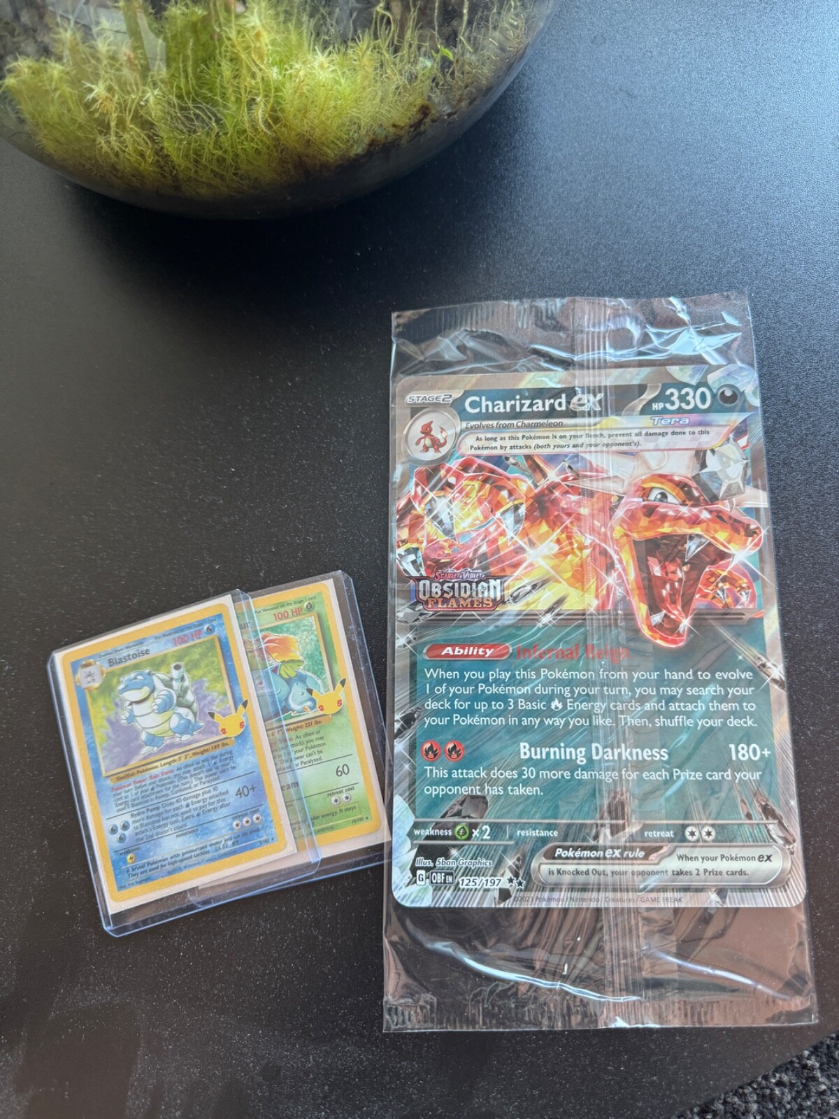 Charizard ex 125 Jumbo Card Obsidian Flames Pokemon Promo EU Exclusive Oversize!