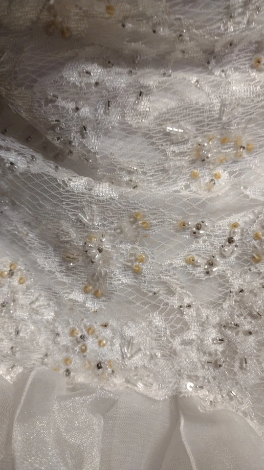 Gorgeous!! Fairy Tale Looking David's Bridal Size 14 Wedding Dress - Image 4 of 4