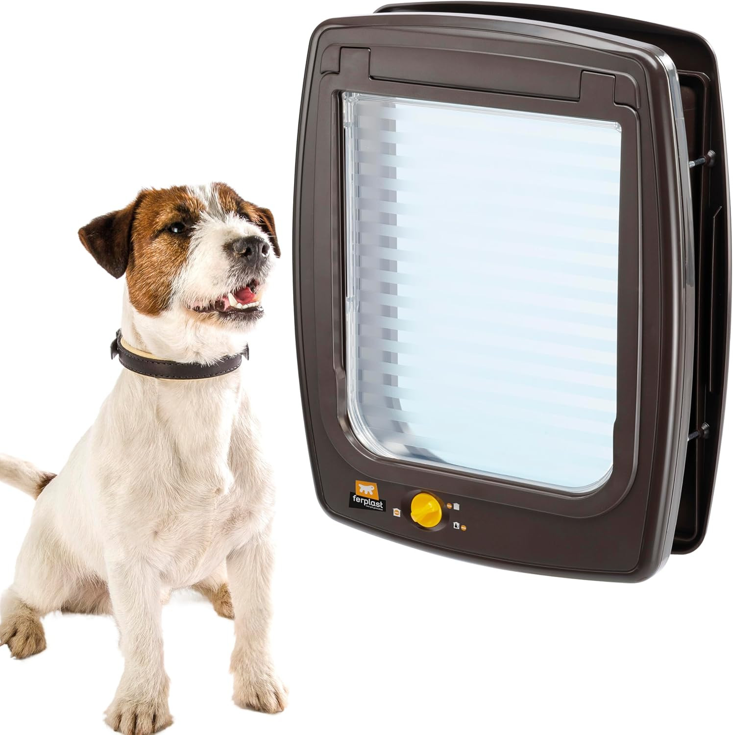 Gattaiola 4 Vie per Cani Medi Entrata Uscita Controllabile ABS