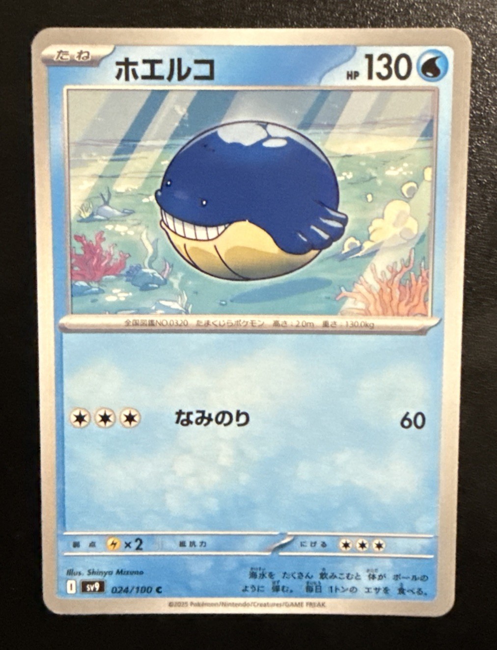 Wailmer 24/100 Pokémon Battle Partners Japanese NM Regular Common
