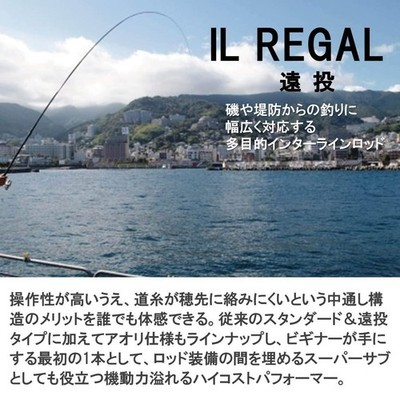 REGAL INTER-LINE 磯竿 3-45g Daiwa rod interline legal 3-45 long cast | eBay