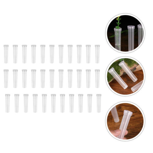  100 Pcs Plastic Culture Tube Terrarium Container Clear with Lid Glass - Picture 1 of 12