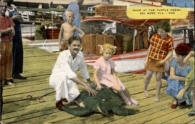 Key West FL Dock at the Turtle Crawl c1940s-50s Vintage Postcard