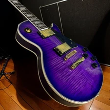 Custom Electric Guitar Mahogany Body Flame Maple Top Rosewood Fretboard