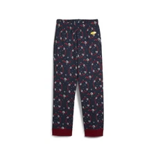 PUMA Hoops X Polar Express Pj Pants Mens Blue Casual Athletic Bottoms 62825501
