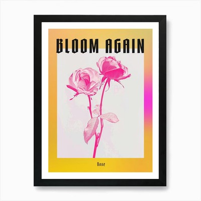 Hot Pink Rose 3 Poster Kunstdruck Fr gerahmt Wandbild Poster Leinwanddruck Bild