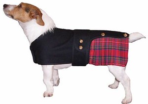 kilts for dogs