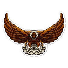 Eagle, Vinyl Decal Sticker, Indoor Outdoor, 3 Sizes, 7806