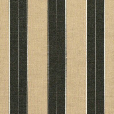 Sunbrella  Indoor / Outdoor Upholstery Fabric - Berenson Tuxedo 8521-0000