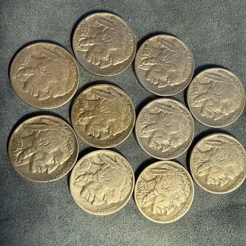 US Buffalo Nickels Lot of 10 Native American Buffalo Design #347