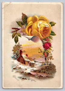 Trade Card Woolson Spice Lion Coffee Yellow Rose Country Scene  P222