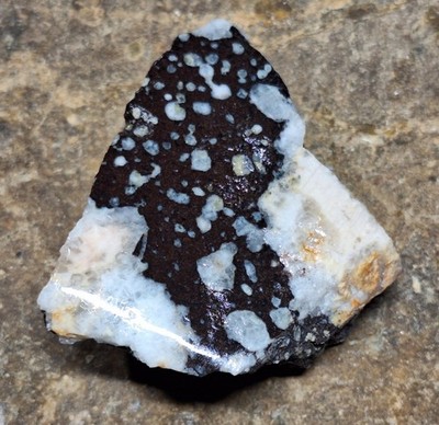 Beautiful Hand Polished Amygdaloidal Basalt With Calcite And Other Minerals