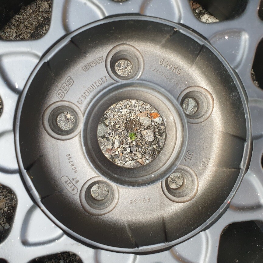 JDM 17