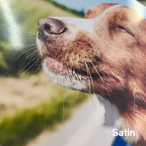 Koala Photo Paper 5x7 Satin Premium 72lb Heavyweight Semi-Gloss Inkjet Printer - Picture 2 of 12