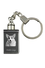 Pembroke Welsh Corgi - Crystal key ring with dog photo, illuminated key ring, un