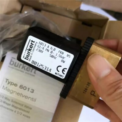 Burkert Solenoid Valve 6013 A 6.0 FKM G1/4 220V 00125314